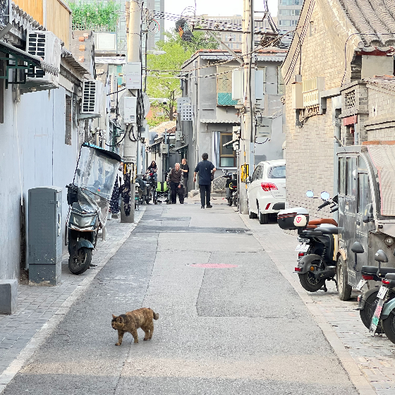 白塔寺可改小院平房